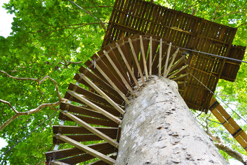tree house