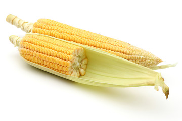 Fresh Corn