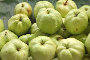 Guava fruit at the market