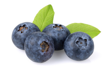 Fresh Blueberry group