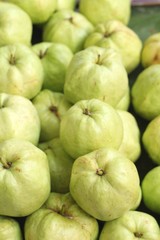 Guava fruit at the market