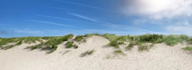 Ingelijste posters Duinen sand dunes near the beach in the summer  © Greatstockimages