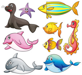 Sea animals
