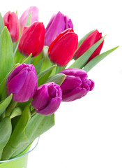 Fototapeta premium bouquet of red and purple tulip flowers