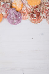 border with seashells on wooden surface