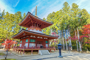 Pagoda of Kongozanmaiin at Danjo Garan temple in Mt. Koya