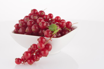 Red Currants