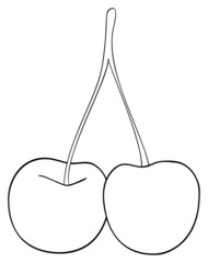 Delightful garden - Two cherries connected together with a stem