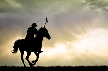 polo players on horses © adrenalinapura