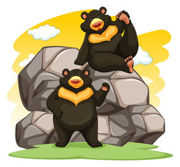 Two playful bears