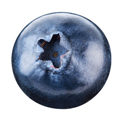 blueberries isolated
