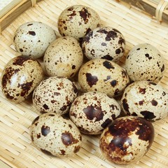 Quail eggs.