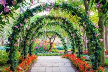 beautiful flower arches with walkway in ornamental plants garden