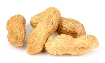 dried peanuts on white background