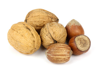 walnuts and hazelnuts on a white background!