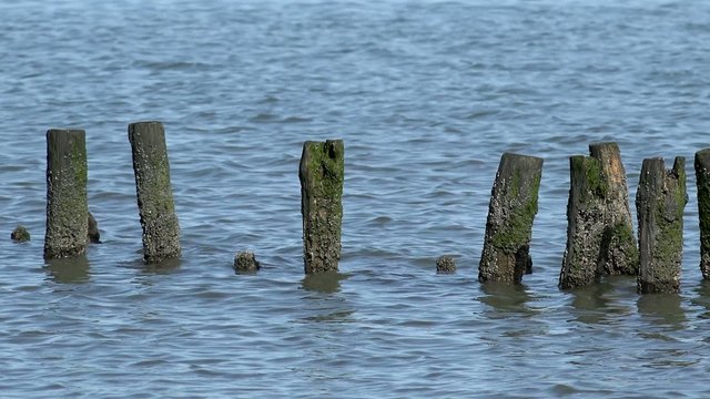 Holzpf&auml;hle im Meer