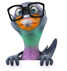 Fun pigeon