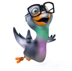 Fun pigeon