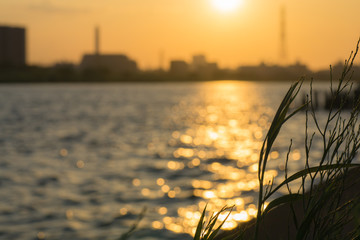 夕暮れの荒川河川敷
