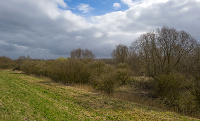 Sunlight over nature under a cloudy blue sky