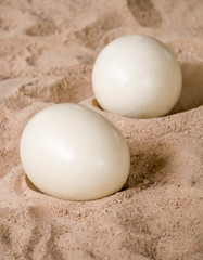 Ostrich eggs