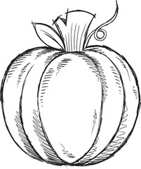 Doodle Sketch Pumpkin Vector Illustration Art