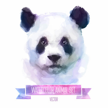 Vector set of watercolor illustrations. Cute panda