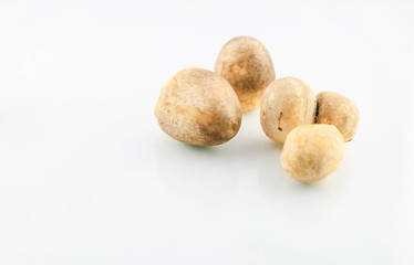 straw mushroom