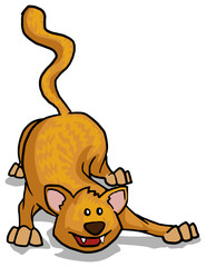 Playful cat, ready to jump