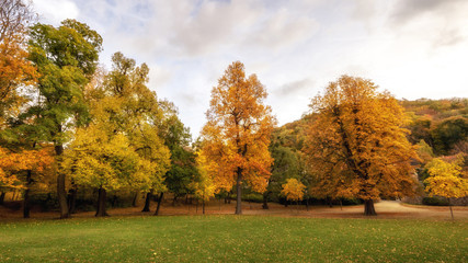 Naklejka premium Herbst - Bäume - Parkanlage
