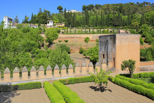 Alhambra garden in Granada, Andalusia, Spain