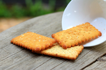 Salty Crackers