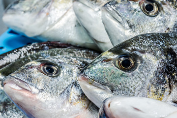 Fresh fish at a fish shop