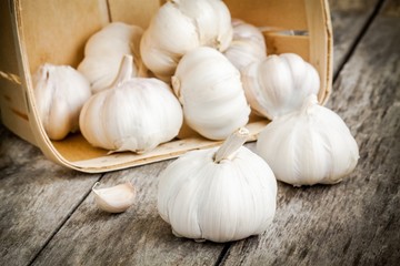 organic garlic bulbs in the basket on a wooden table