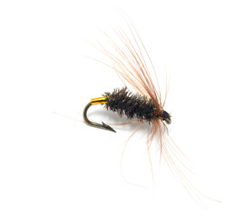 fly for fishing on white background