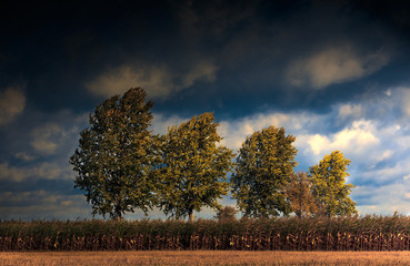 Jesienne Uroki Podlasia © Wojciech Lisiński