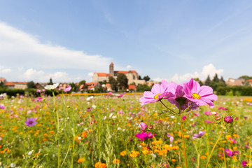 Blick zum Quedlinburger Schloss und Stiftskirche