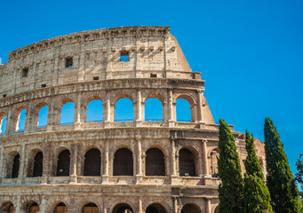 Fototapeta premium Colosseum, Rome