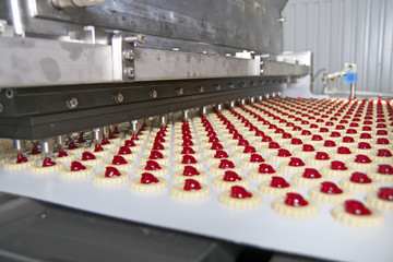 Production cookie in factory