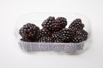 Blackberries in tray