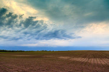 Arable land