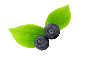 blueberries isolated on white background