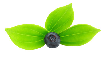 blueberries isolated on white background