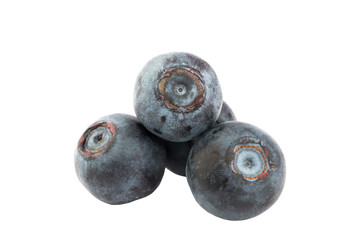 blueberries isolated on white background