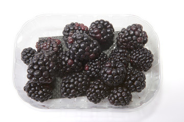 Blackberries in tray