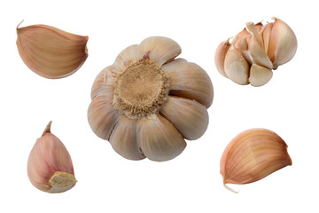 garlic farm products organic isolated white background