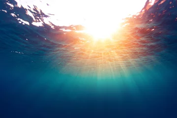 Deurstickers Oceaan golf Zee met zon