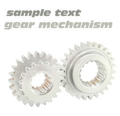 Copper and gold gear isolated on white background