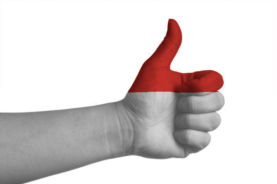 Flag of AEC country with thumbs up hand