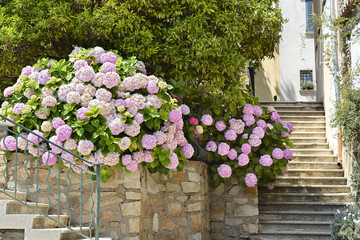 Village of Grimaud in France